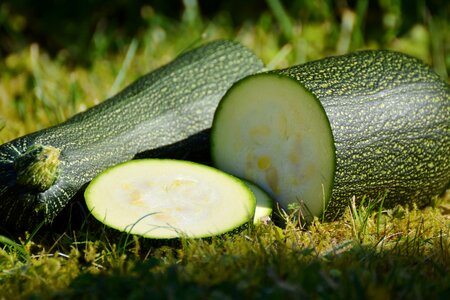 Garden green bio