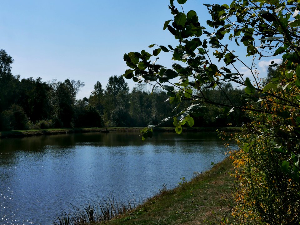 GusenburgNaturschutzgebietEiderbruchH1a