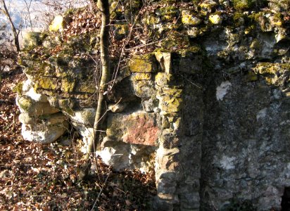 Gruonsberg 1