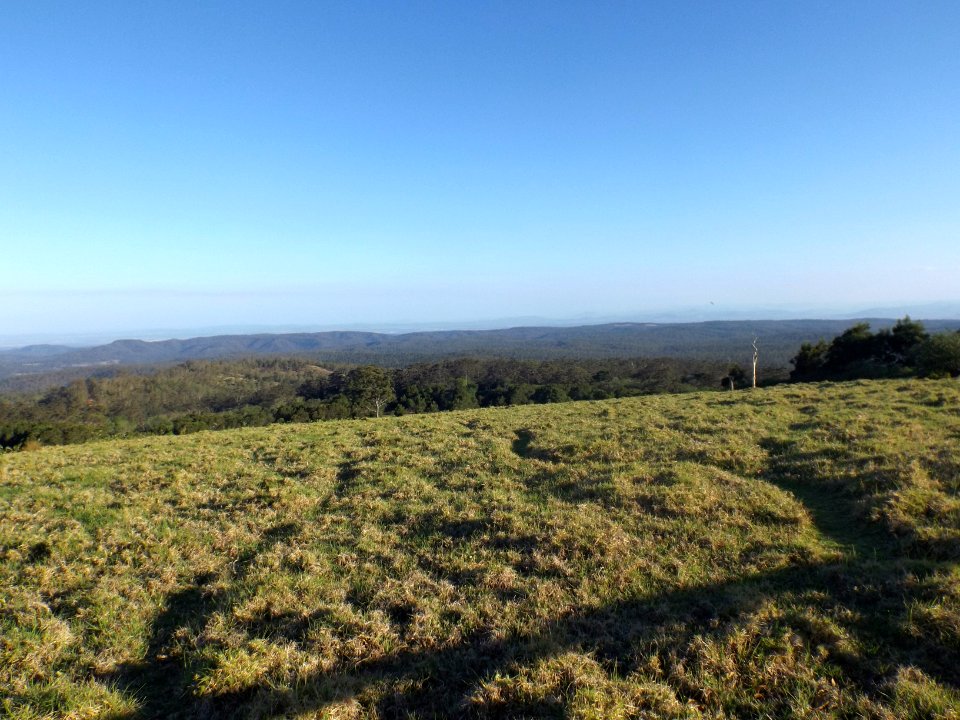 Gus Beutel Lookout