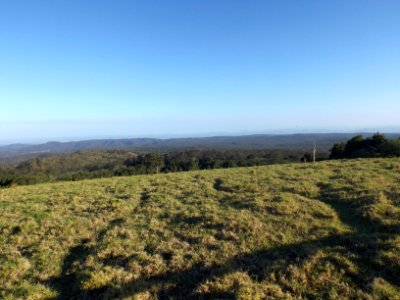 Gus Beutel Lookout
