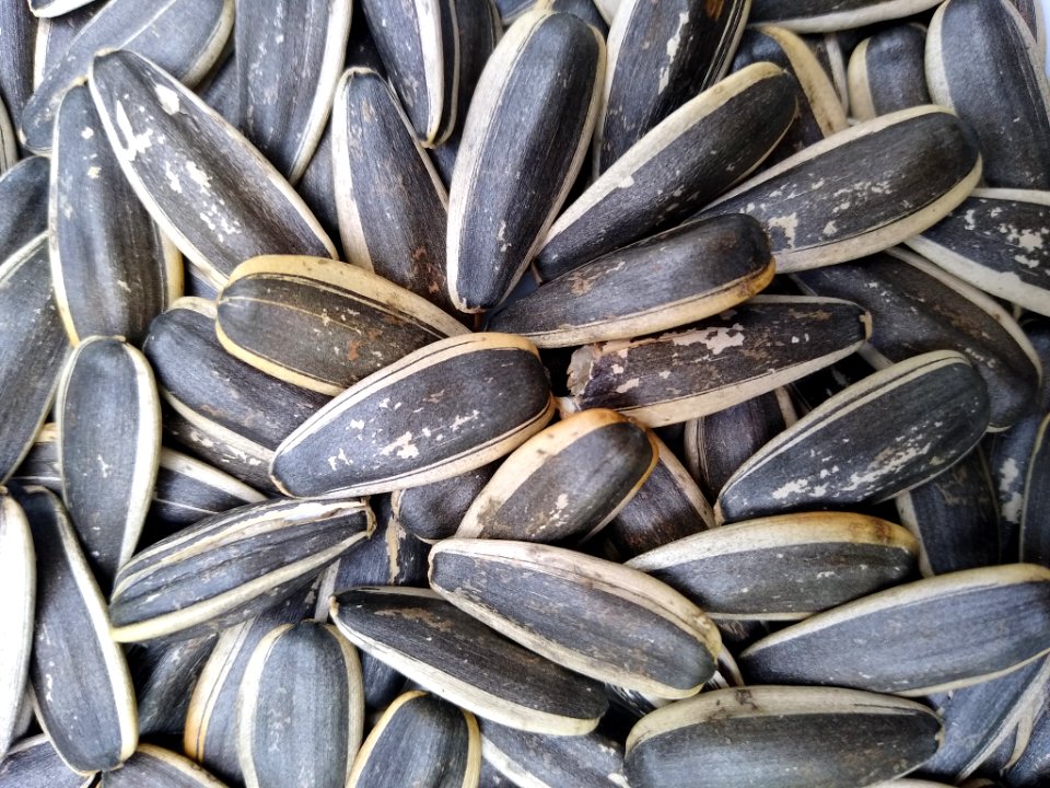 Guazi (sunflower seeds)