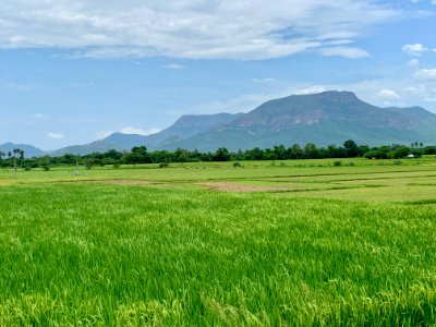 Gudimallam village farms and environment, Andhra Pradesh India
