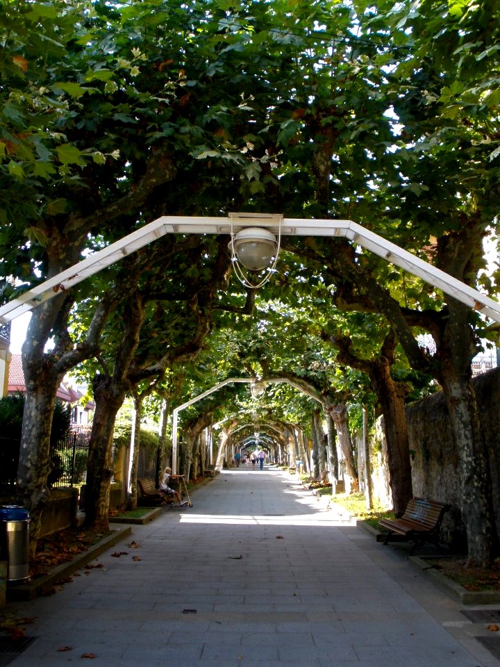 Guecho, Algorta - Avenida de Basagoiti 1