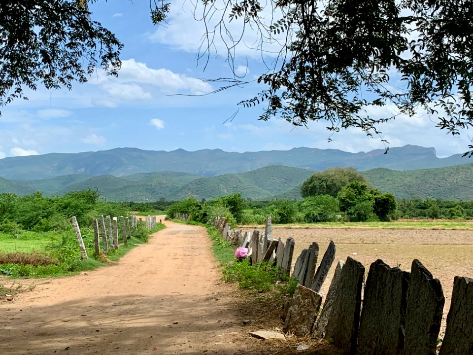 Gudimallam village road, Andhra Pradesh India