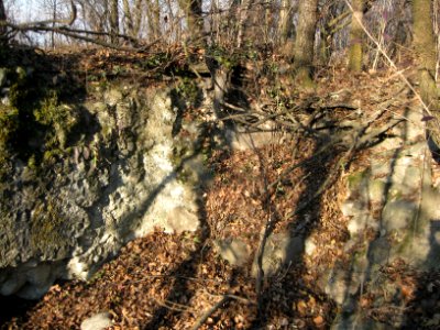 Gruonsberg 6