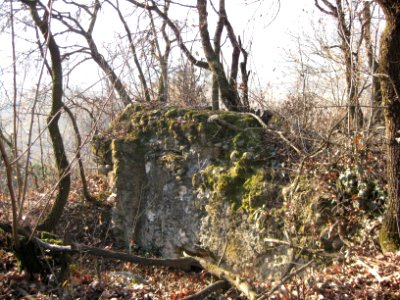 Gruonsberg 2