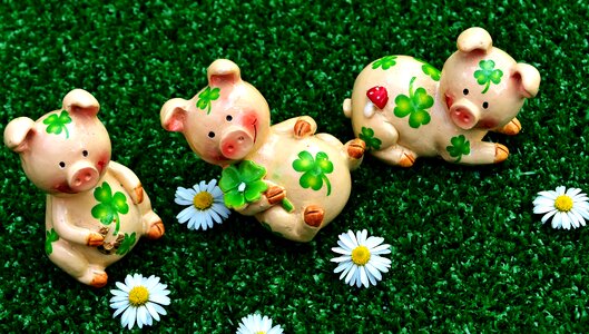 Luck shamrocks lucky charm