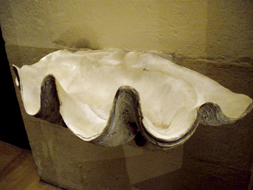 Guecho, Algorta - Iglesia de San Nicolas de Bari 29