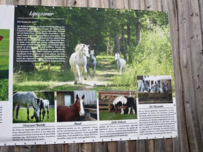 Gut Aiderbichl Iffeldorf 41