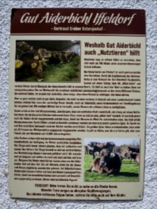 Gut Aiderbichl Iffeldorf 47