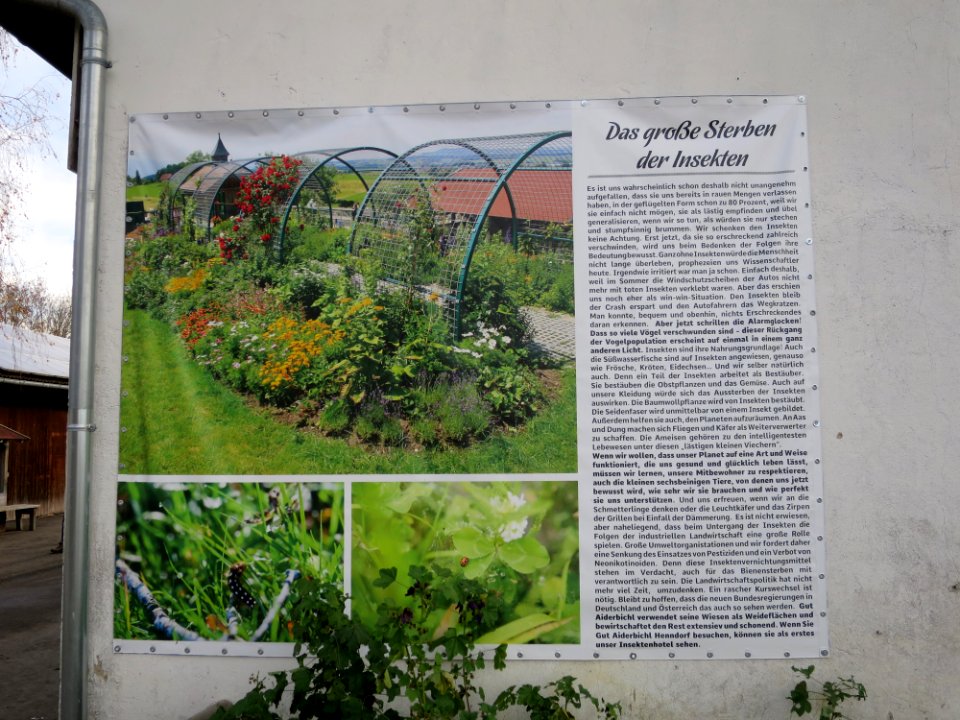 Gut Aiderbichl Iffeldorf 35