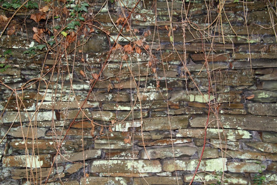 Gymnch Porz (Altenahr) Detailaufnahme (6)