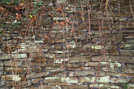 Gymnch Porz (Altenahr) Detailaufnahme (6)