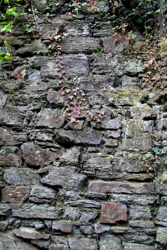 Gymnch Porz (Altenahr) Detailaufnahme (4)