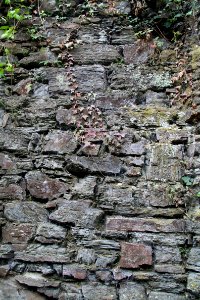 Gymnch Porz (Altenahr) Detailaufnahme (4)