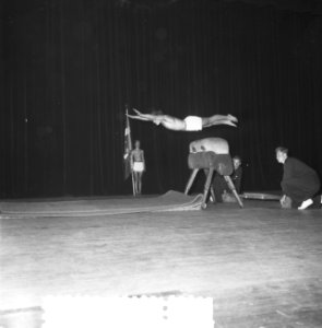 Gymnastrade Rotterdam. Demonstratie Denemarken, Bestanddeelnr 934-5513
