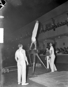 Gymnastiek Belgie-Nederland in Antwerpen, Bestanddeelnr 903-6581