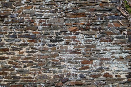 Gymnch Porz (Altenahr) Detailaufnahme (12)