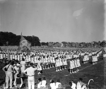 Gymnastiek demonstratie in park Sonsbeek te Arnhem, Bestanddeelnr 902-7500
