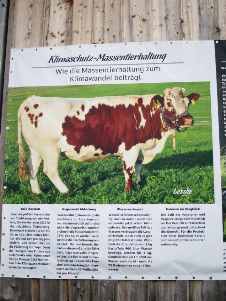 Gut Aiderbichl Iffeldorf 40