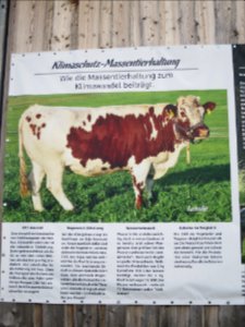 Gut Aiderbichl Iffeldorf 40