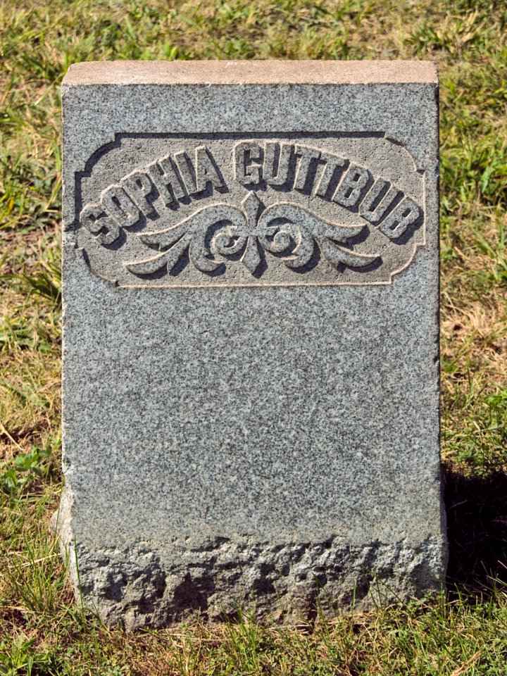 Guttbub (Sophia), Zion Cemetery, Baldwin, 2015-09-15, 01