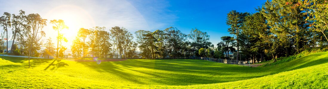 Panorama park nature