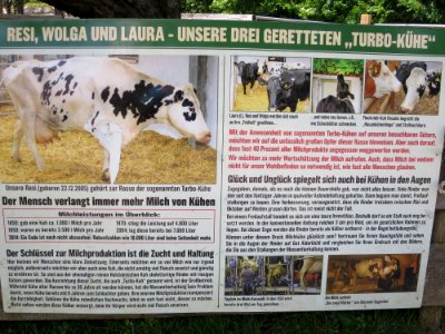 Gut Aiderbichl Iffeldorf 46