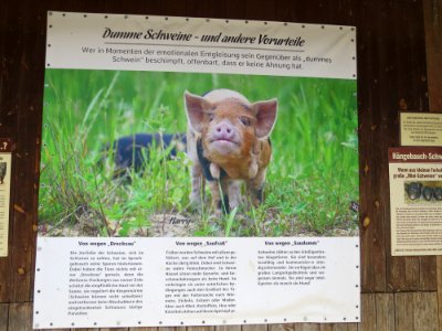 Gut Aiderbichl Iffeldorf 51
