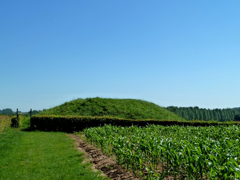 Gutshoven-Graf van Gutshoven (4)