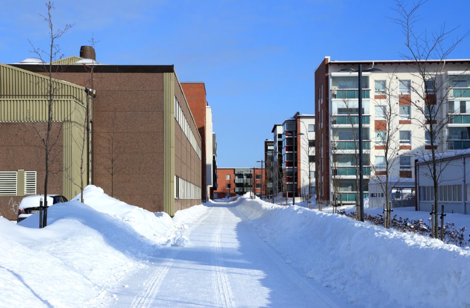 Härkäraitti Oulu 20180325