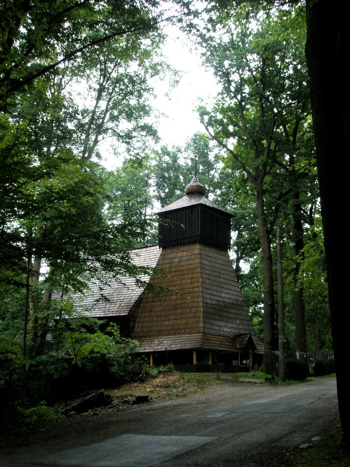 Guty after reconstruction