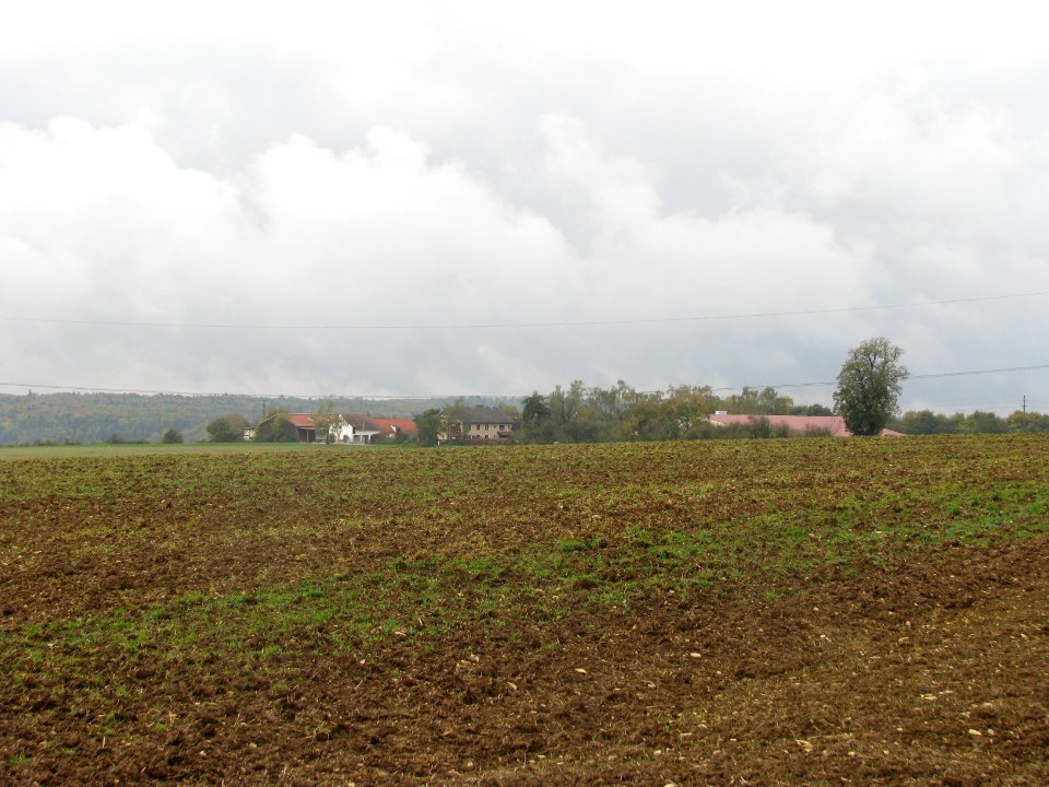 Häringhof (Eichstätt) (2)
