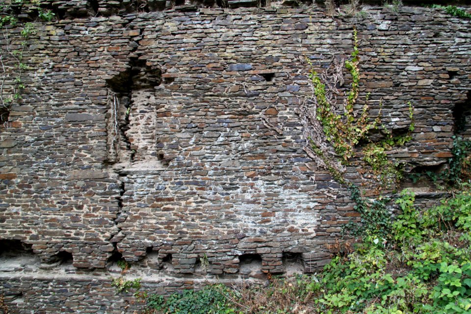 Gymnch Porz (Altenahr) Detailaufnahme (11)