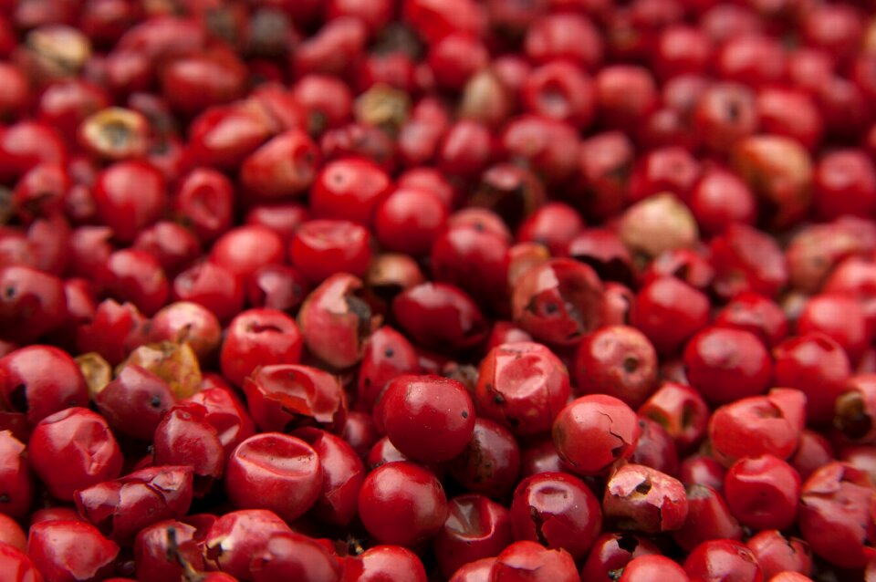 Seasoning ingredient spice