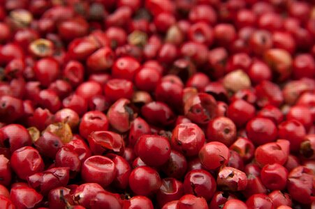 Seasoning ingredient spice