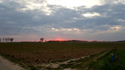 Gulpen-laatste zonlicht over de Dolsberg (2)
