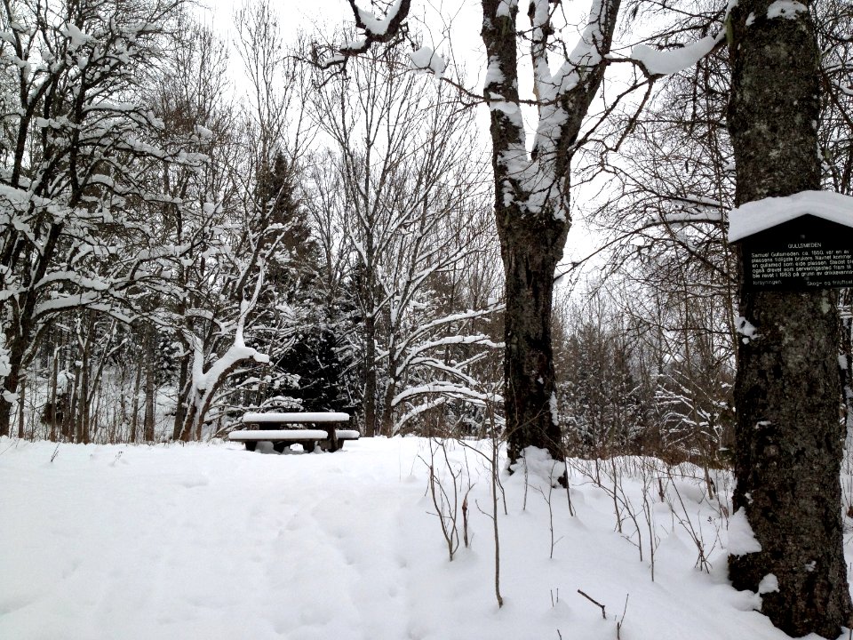 Gullsmeden January 2014