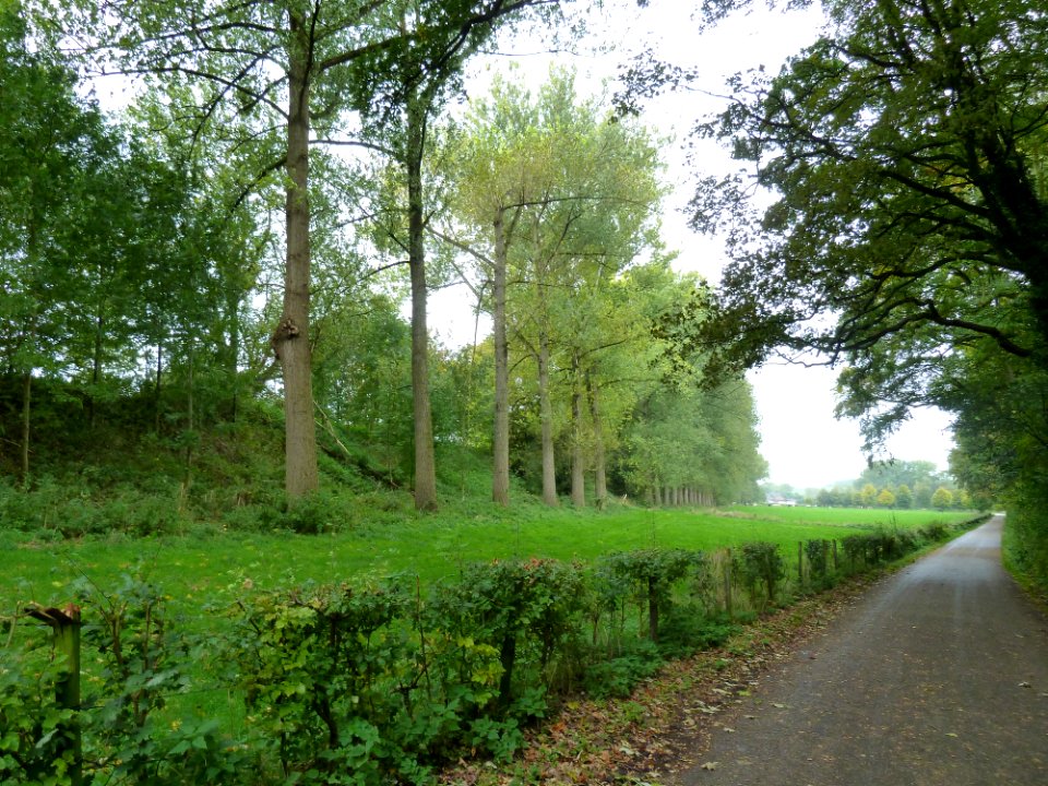 Gulpen-Oostelijk talud Gulpdalviaduct (2)