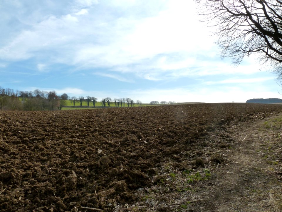 Gulpen-Roman site (3)