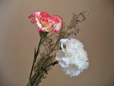 Flowers bouquet decoration