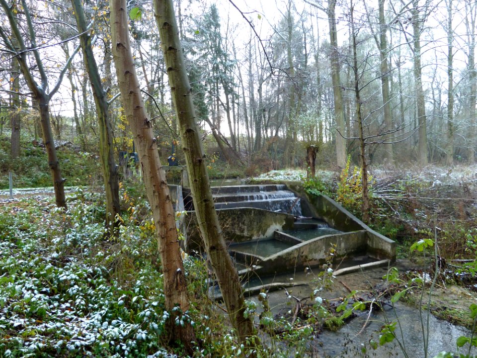Gulpen-Stuw Neuborgermolen in Gulp (10)