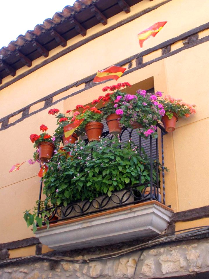 Gumiel de Izán 07