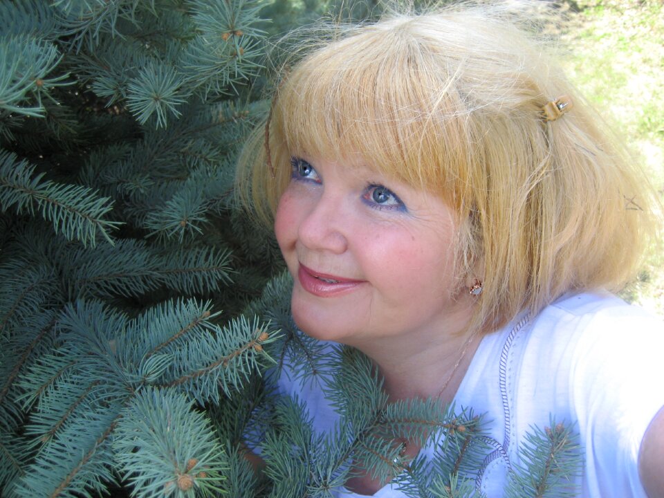 Portrait christmas tree landscape