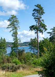 Gullmarsfjorden as seen from Barkedal