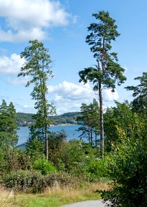 Gullmarsfjorden as seen from Barkedal photo