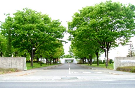 Gunma-Pref-College-of-Health-Sciences03