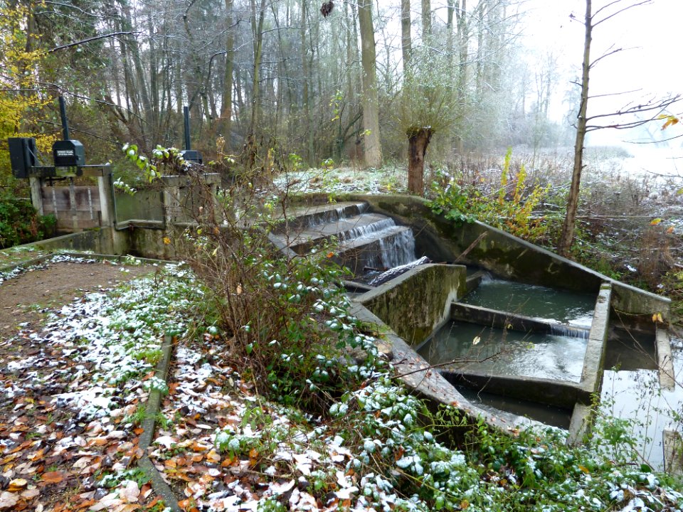 Gulpen-Stuw Neuborgermolen in Gulp (8)