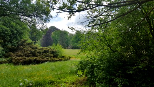 Gulpen-Kasteel Neubourg-Mariakapel (6)